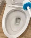 Dishwasher Detergent & Toilet Bowl Cleaner Kit