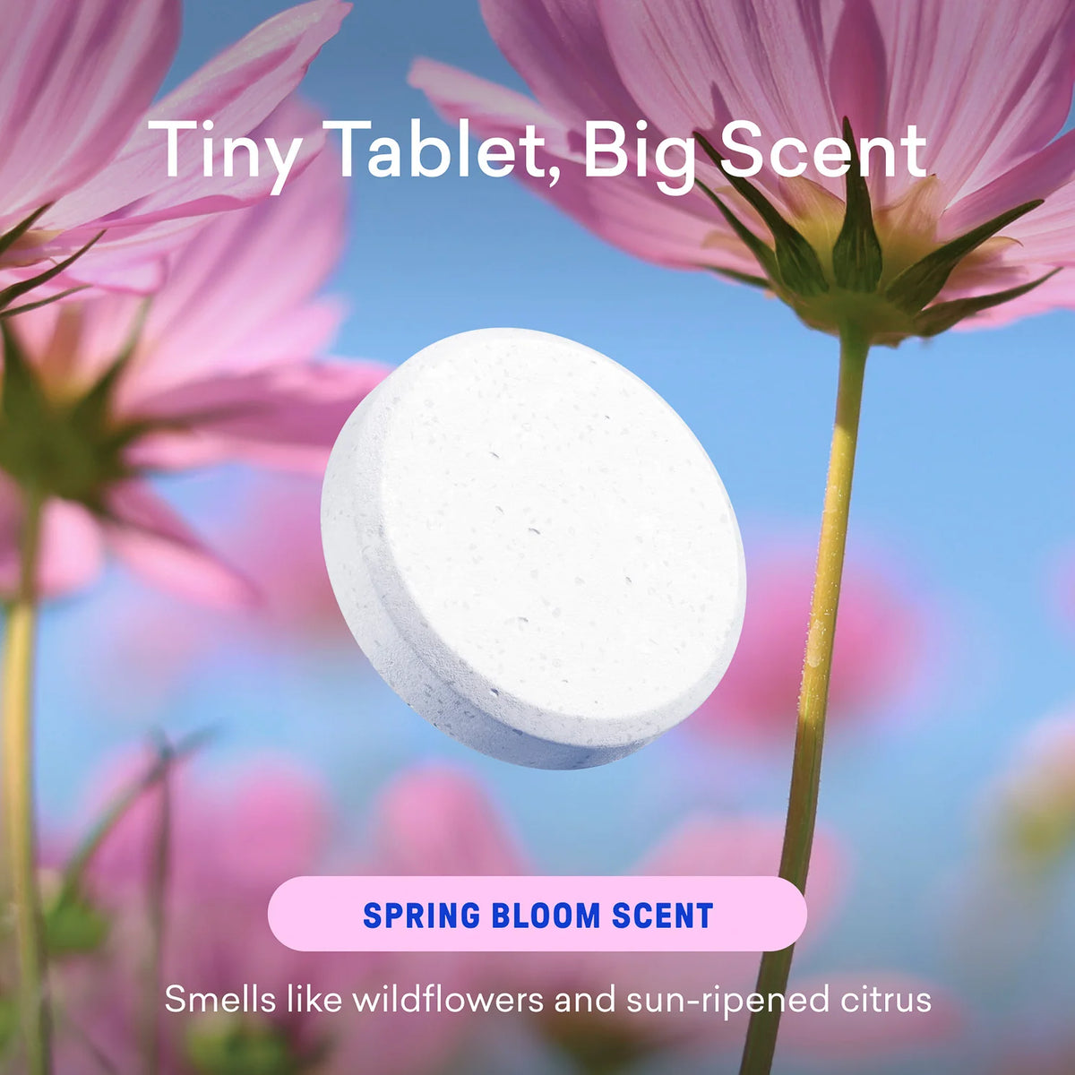 The Coast We Keep Hand Soap Set